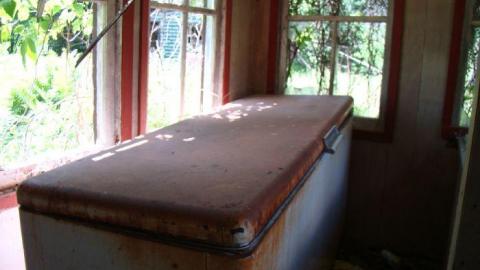 Gallery - DSC02469(1).jpg