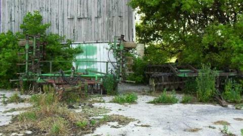 July 2011 - SAM_3000.jpg