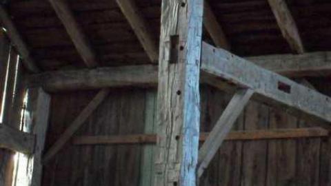 July 2011 - SAM_3031.jpg