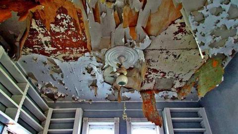 Aug. 2016 - IMG_3581.jpg