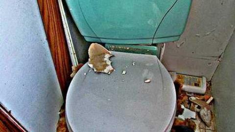 Aug. 2016 - IMG_3590.jpg