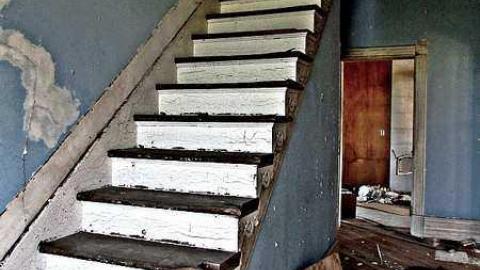 Aug. 2016 - IMG_3596.jpg