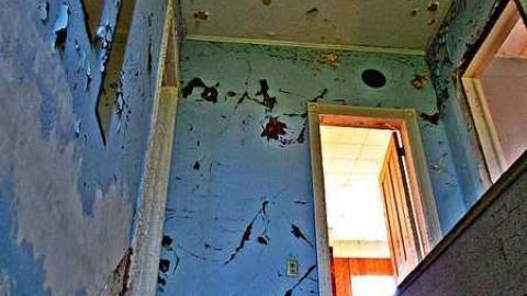 Aug. 2016 - IMG_3599.jpg