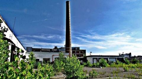 Aug. 2016 - McCormicks-Biscuit-Factory506.jpg