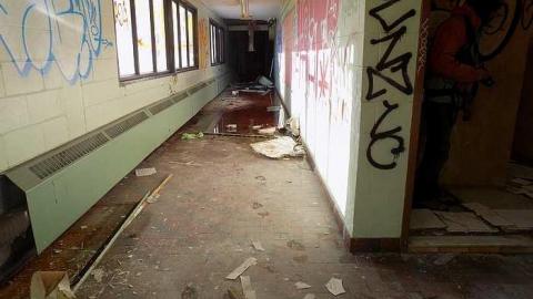 School's out photo 5