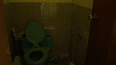 Gallery - DSC02477.jpg