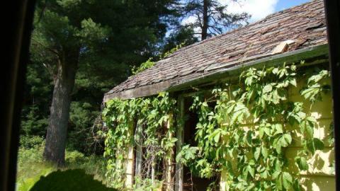 Gallery - DSC02478.jpg