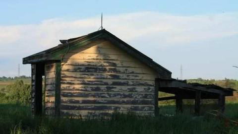 May House - Down-the-Bridle-Path12.jpg