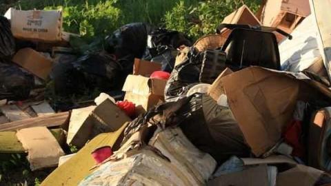 Down the Bridle Path photo 4