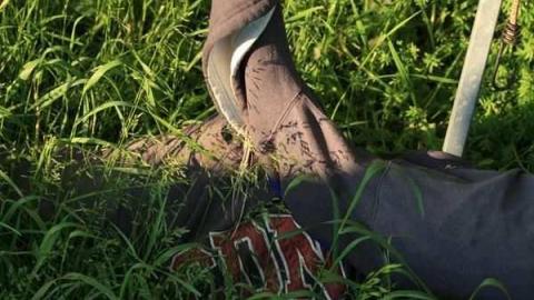 Down the Bridle Path photo 3