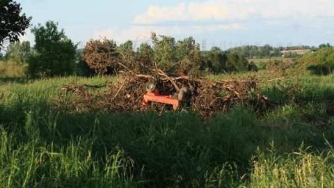 May House - Down-the-Bridle-Path4.jpg