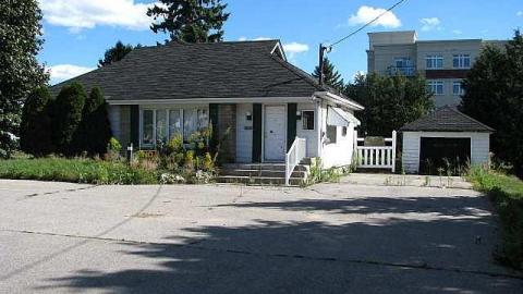 Doggone - !Who-Let-The-Dogs-Out1.jpg