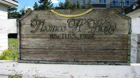 Doggone - !Who-Let-The-Dogs-Out7.jpg