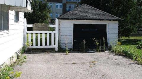 Doggone - !Who-Let-The-Dogs-Out10.jpg