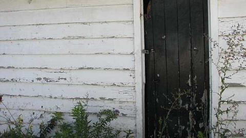 !Who Let The Dogs Out photo 5