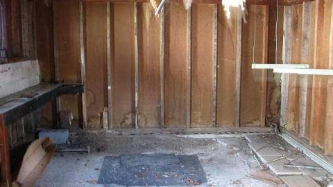 Doggone - !Who-Let-The-Dogs-Out11.jpg