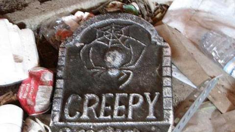 Doggone - !Who-Let-The-Dogs-Out6.jpg