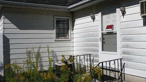 Doggone - !Who-Let-The-Dogs-Out12.jpg