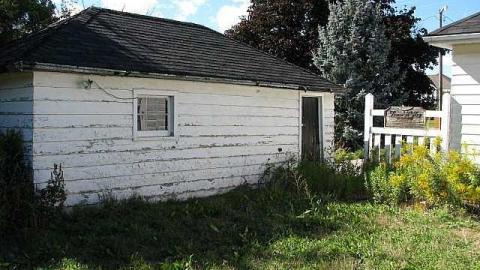 Doggone - !Who-Let-The-Dogs-Out13.jpg