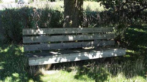 Doggone - !Who-Let-The-Dogs-Out16.jpg