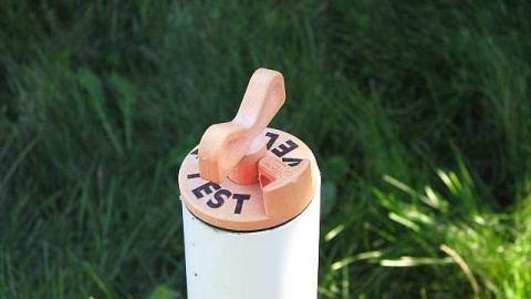 !Who Let The Dogs Out photo 3