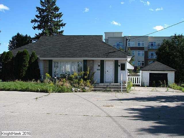 !Who Let The Dogs Out photo 2