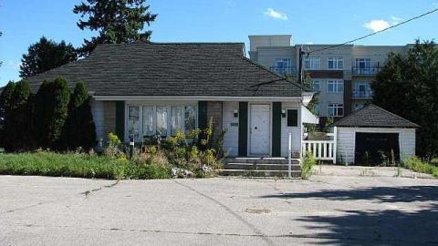 Doggone - !Who-Let-The-Dogs-Out17.jpg