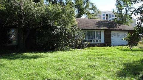 Gas Below - Grassy-and-Gassy8.jpg