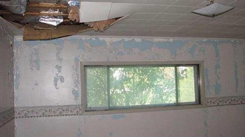 Gas Below - Grassy-and-Gassy11.jpg