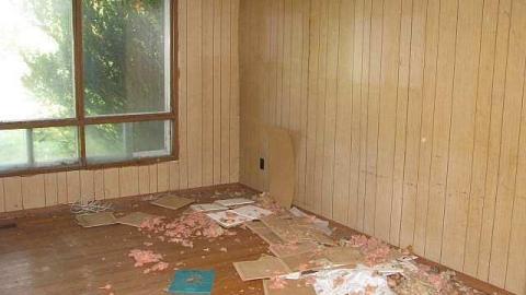 Gas Below - Grassy-and-Gassy3.jpg