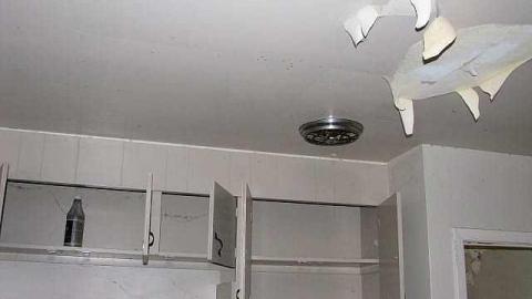 Gas Below - Grassy-and-Gassy18.jpg