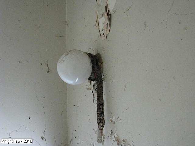 Grassy and Gassy photo 2