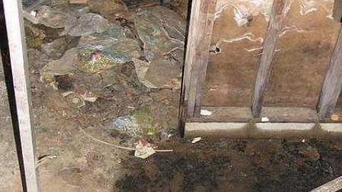 Gas Below - Grassy-and-Gassy21.jpg