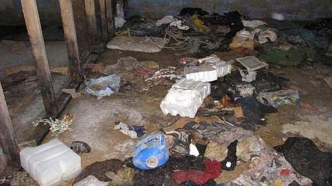 Gas Below - Grassy-and-Gassy22.jpg