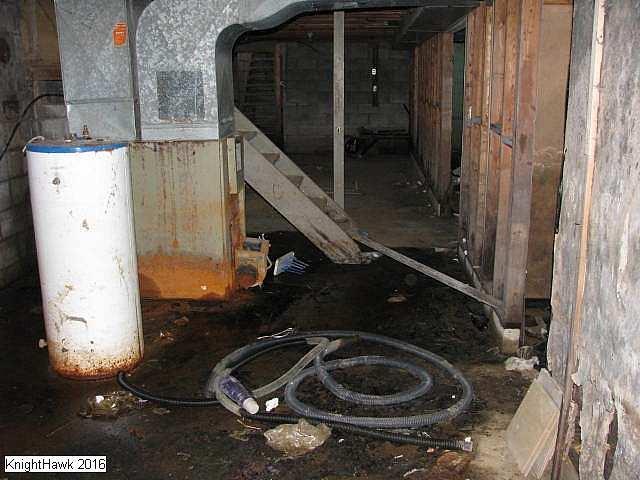 Grassy and Gassy photo 3