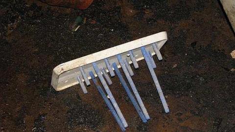 Gas Below - Grassy-and-Gassy6.jpg