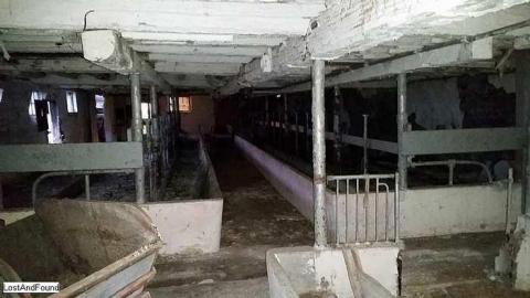 House and Barn - n-3.jpg