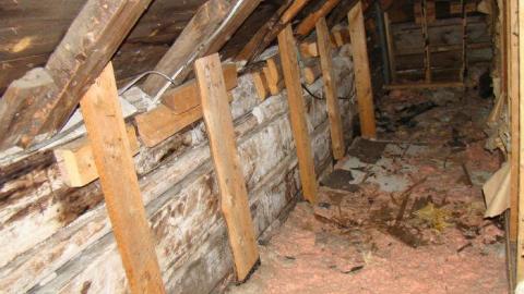 Gallery - DSC02483.jpg