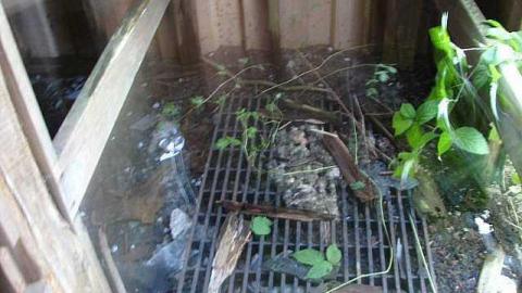 Fenced In - Power-To-Durham8.jpg