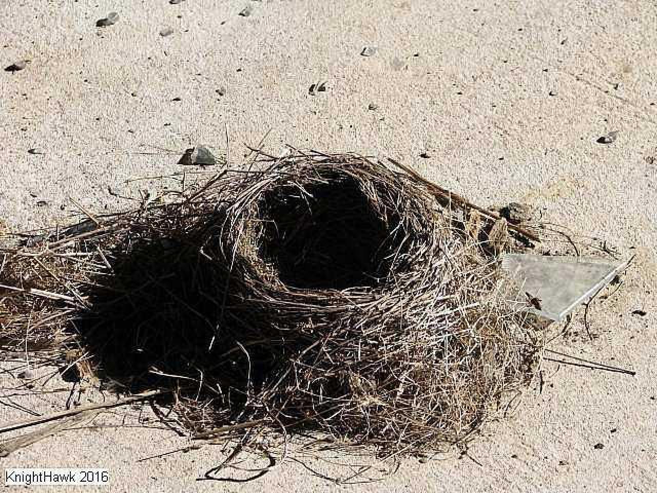 Fenced In - Power-To-Durham9.jpg