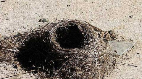 Fenced In - Power-To-Durham9.jpg