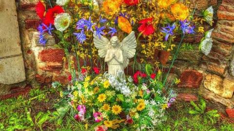 Queen St. Pioneer Cemetery photo 3