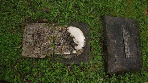 Esteemed Residents - Queen-St.-Pioneer-Cemetery13.jpg