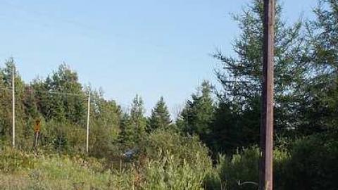 Long Branch Motel - 04/08/2016 - Motel-Longbranch317.jpg