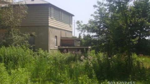 Evergreen - Evergreen25.jpg