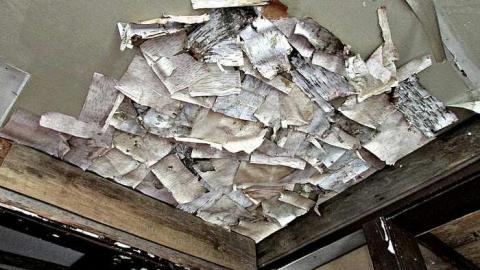 Photo from Sept 2016