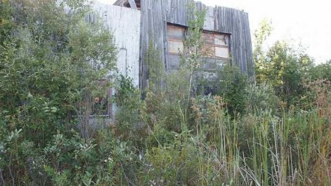 Photo from Orphan Annie's Truck Stop