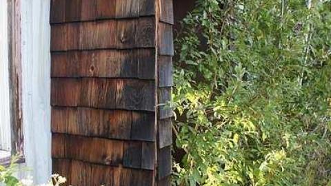 Photo from Orphan Annie's Truck Stop