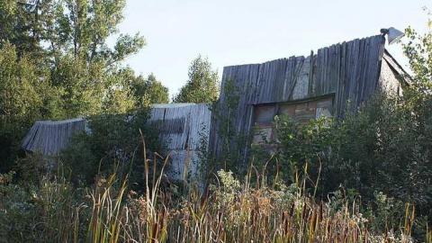 Orphan Annie's Truck Stop - Orphan-Annies-Truck-Stop4.jpg