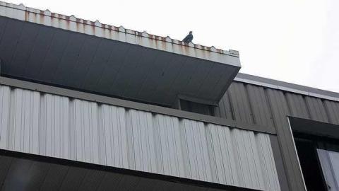 September 2016 - 17Sep-16C 071.jpg